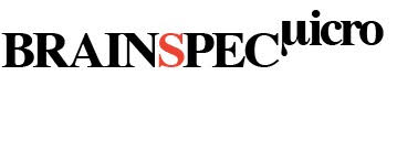 BRAINSPEC logo